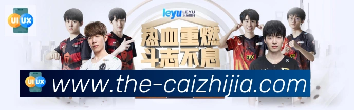 未来规划